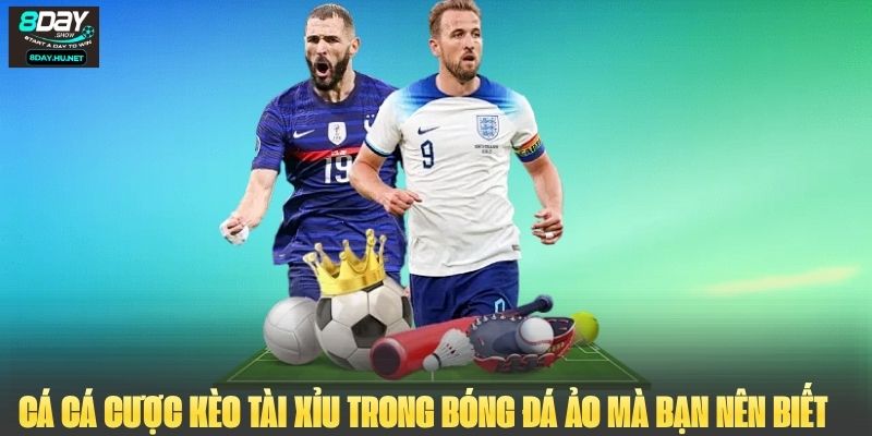 Cá cá cược kèo Tài Xỉu trong bóng đá ảo mà bạn nên biết