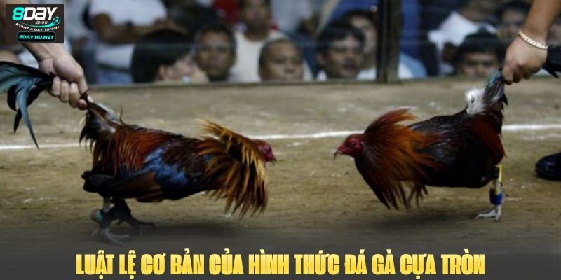 Luật lệ cơ bản của hình thức đá gà cựa tròn