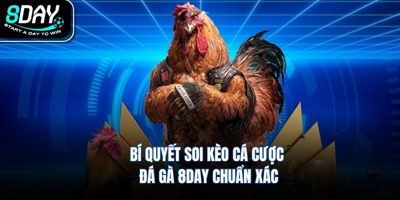 Bí quyết soi kèo cá cược đá gà 8DAY chuẩn xác