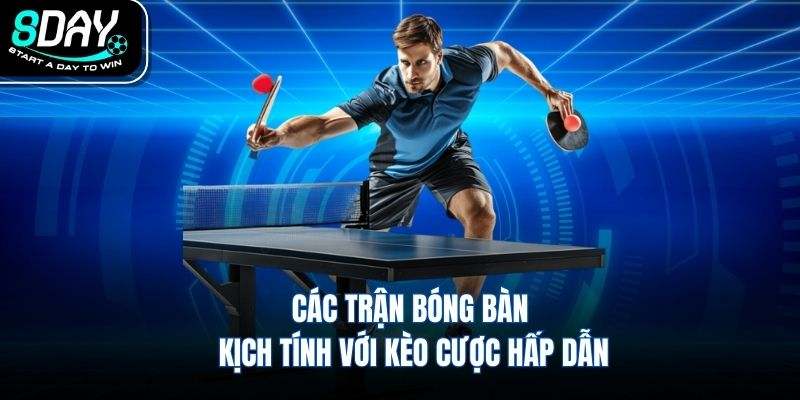 Các trận bóng bàn kịch tính với kèo cược hấp dẫn