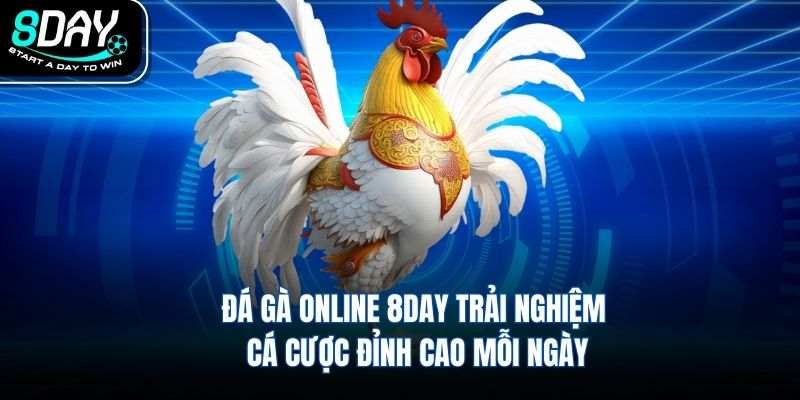 Đá Gà Online 8DAY Trải Nghiệm Cá Cược Đỉnh Cao Mỗi Ngày